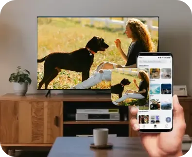 Compartir medios sin conexión