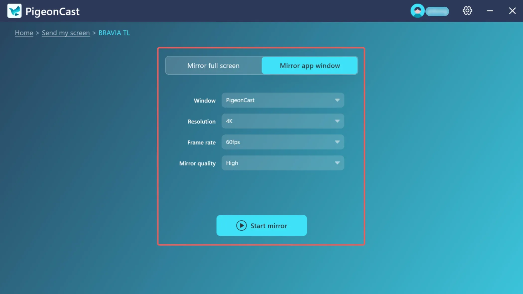 Mirror App Window