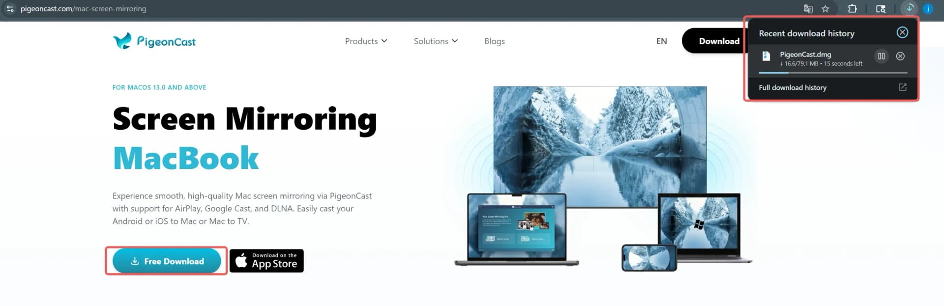 Download PigeonCast Directly