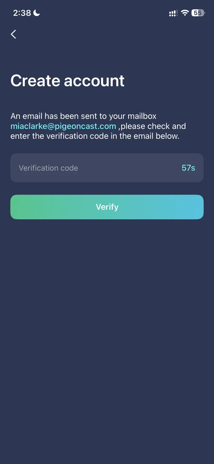 enter the verification code