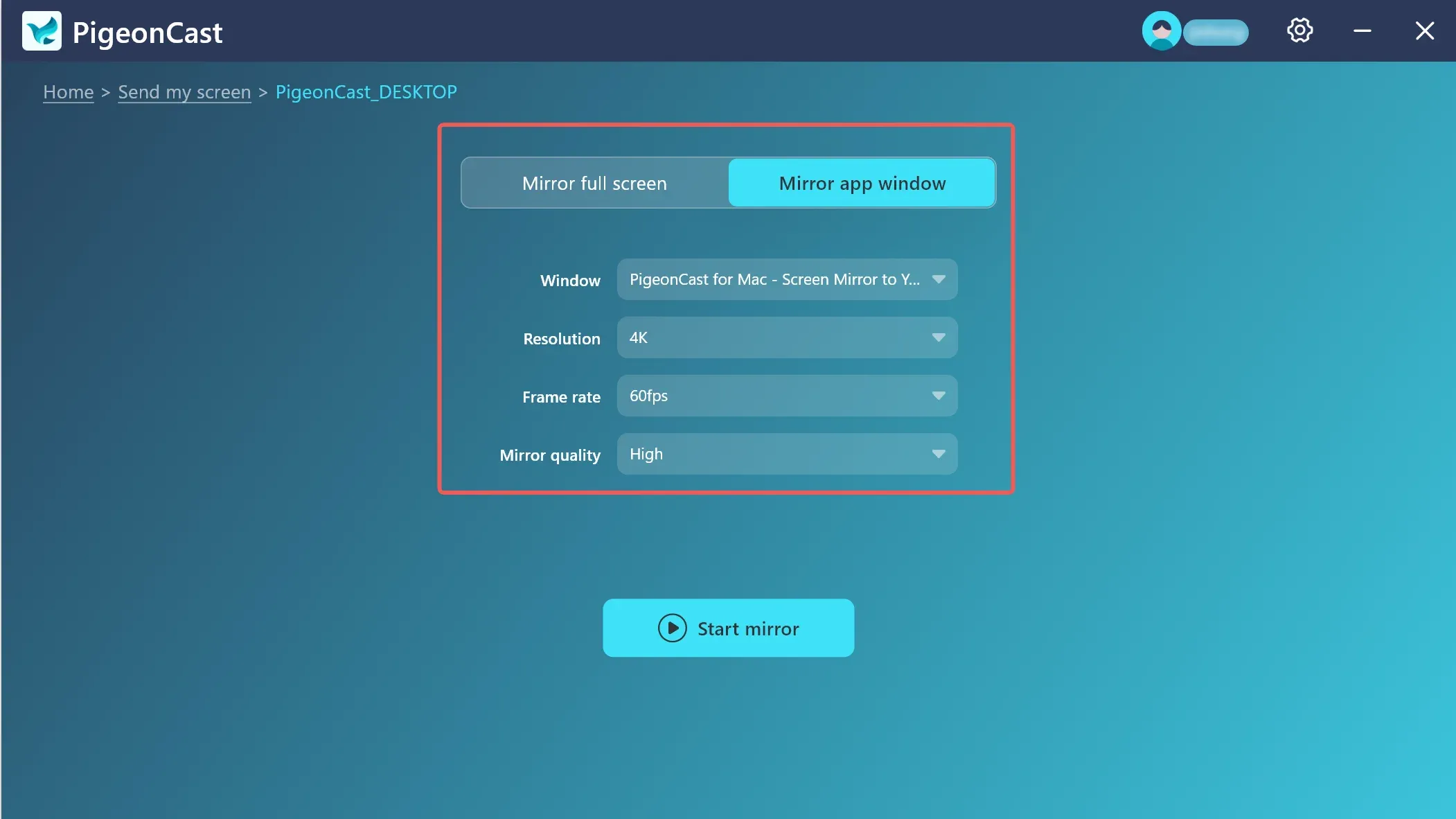 Mirror App Window